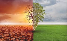 climate change